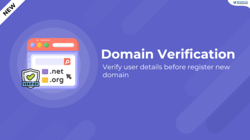 Domain Verification